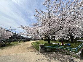 大阪府大阪市阿倍野区長池町（賃貸マンション1K・6階・18.00㎡） その24