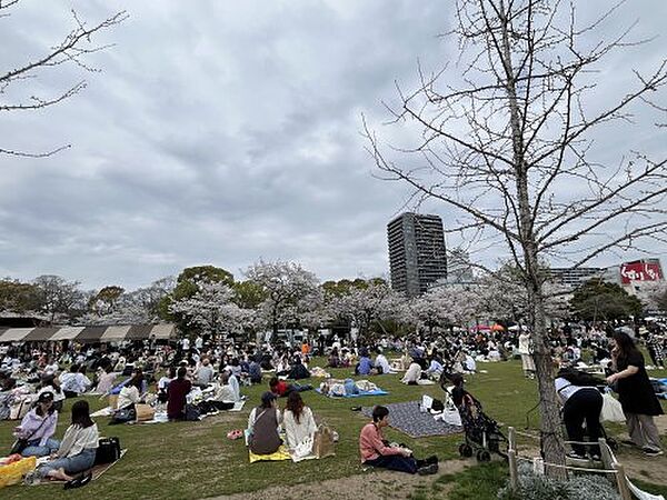 大阪府大阪市天王寺区堀越町(賃貸マンション1DK・3階・29.49㎡)の写真 その16