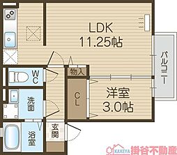 クラインガルテンB 1LDKの間取図画像