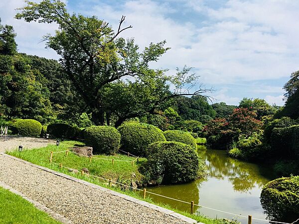 画像29:【その他】小石川植物園まで659ｍ