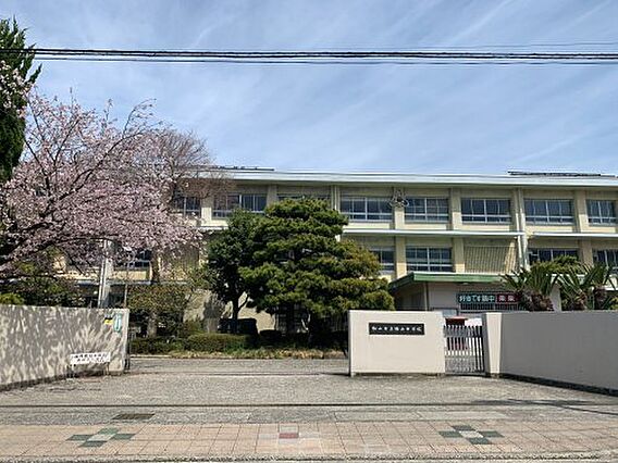 【中学校】松山...