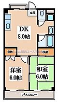 TSUJIHANAビルディング  ｜ 大阪府東大阪市川俣3丁目（賃貸マンション2LDK・5階・47.00㎡） その2