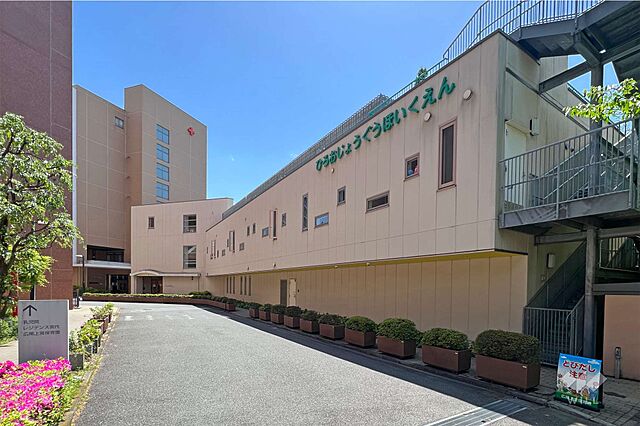 周辺 広尾ガーデンフォレスト椿レジデンスH棟 7階/-