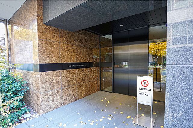 エントランス リビオレゾン新虎通り 10階/-