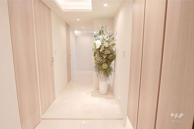 玄関 勝どきザタワー 26階/-