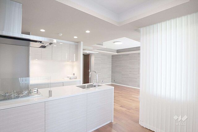 キッチン ロイヤルシーズン南麻布ヒルサイド 2階/-