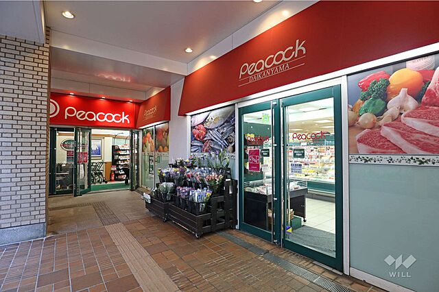 周辺 秀和代官山レジデンス 5階/-