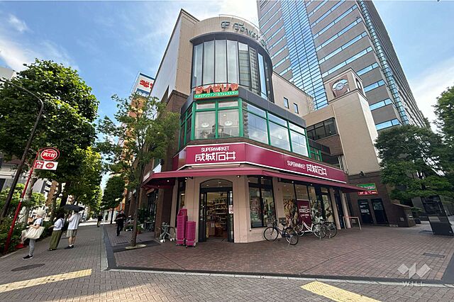 周辺 日本橋ニューシティダイヤモンドパレスA棟 5階/-