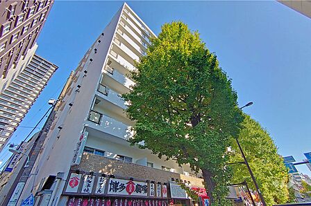 五反田サニーフラットの外観(南西側から)
