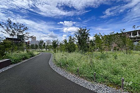 敷地北側に隣接する公園