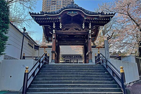 周辺を拡大表示
