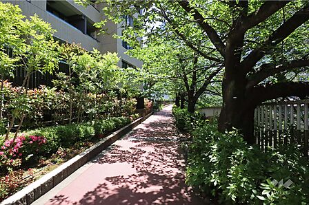 敷地南西側の前面道路(北西側から)