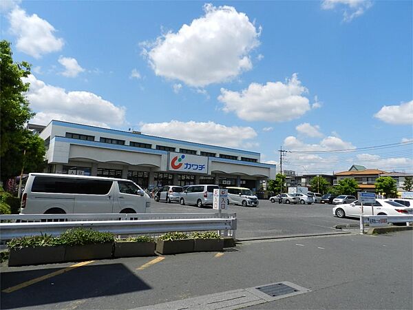 ニューベアーハイツ 205｜埼玉県草加市金明町(賃貸アパート1K・2階・18.21㎡)の写真 その20