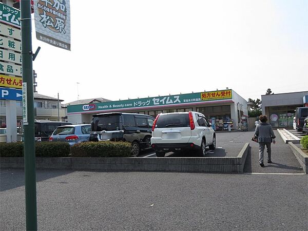 画像17:ドラッグセイムス 草加氷川町店（326m）