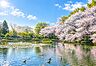 周辺：四季折々の自然が楽しめる、地域の憩いの公園。池の周りの散策や遊具広場、夏季限定の屋外プールもあり、家族で気軽に楽しめます。徒歩圏にある嬉しいスポットです。