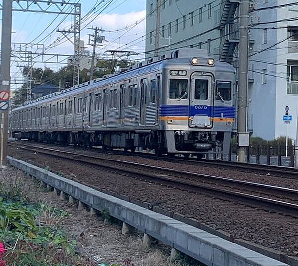 大阪府大阪市住吉区帝塚山中3丁目(賃貸マンション3LDK・4階・140.87㎡)の写真 その25