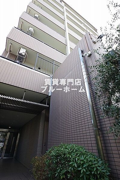 大阪府大阪市住吉区万代東1丁目(賃貸マンション1LDK・2階・55.00㎡)の写真 その1