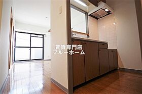 大阪府堺市堺区向陵中町6丁（賃貸マンション2LDK・4階・52.25㎡） その17