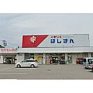 ドラックストア「くすりのほしまん臼田店まで1785ｍ」