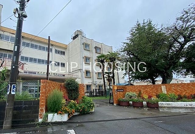 周辺 八王子市泉町