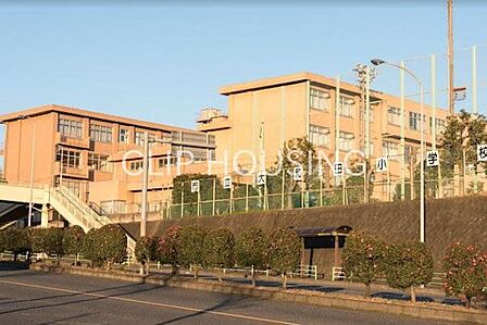 八王子市立大和田小学校 徒歩10分。 770m