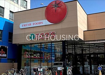 エコス大横店 徒歩11分。 860m