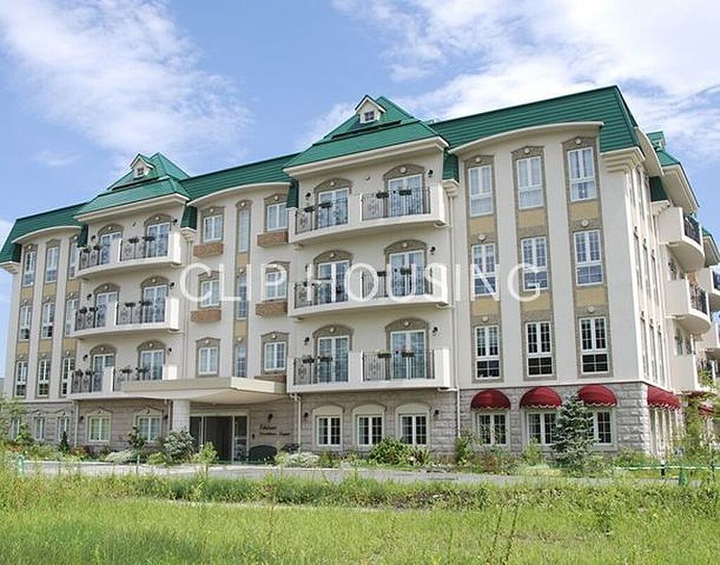 Image 19