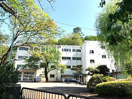 八王子市立浅川中学校 徒歩9分。 690m
