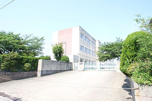 画像12:名古屋市立桜小学校