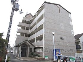 京琴館 205 ｜ 京都府長岡京市長岡２丁目（賃貸マンション1K・2階・24.42㎡） その1