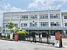 周辺：加茂小学校まで800メートル