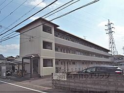 近鉄京都線 向島駅 徒歩6分の賃貸マンション