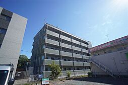 Spring House Sato