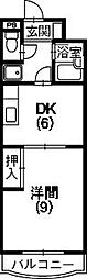 ハイムコターナ 2階/-