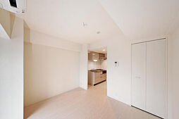 サンテ・トゥルム芝公園 203 2階ワンルームの室内