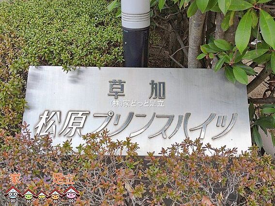 撮影日(202...