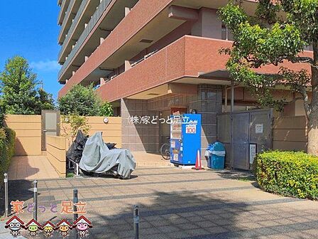 撮影日(2026-08-04 00:00:00)