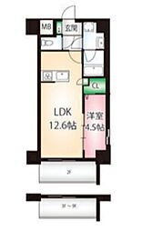 カメリア丸の内 1LDKの間取図画像