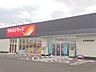 周辺：ツルハドラッグ木更津高柳店（270m）