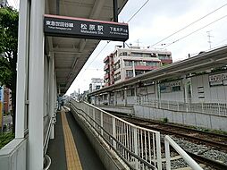 世田谷区赤堤の家