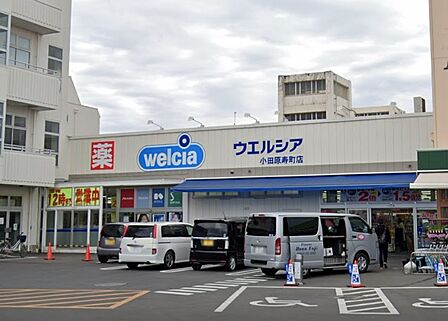 ウエルシア小田原寿町店まで約550m（徒歩7分）
