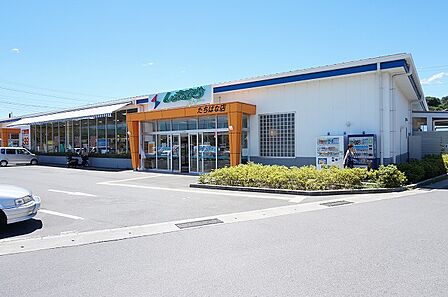 しまむらストアー たちばな店まで約600m（徒歩8分）