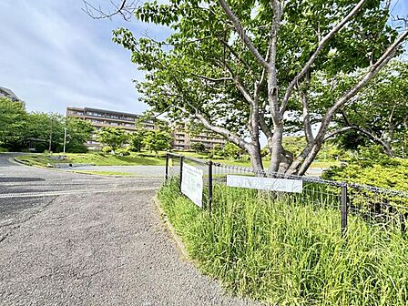 野比松葉公園まで約610m(徒歩8分)