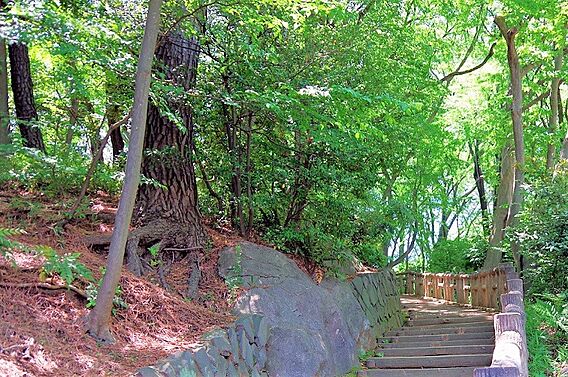 お子様とのお散...