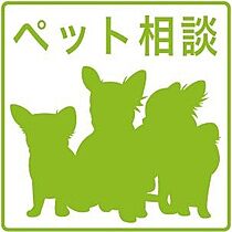 Kolet国立谷保#12  ｜ 東京都国立市谷保741-6（賃貸一戸建4LDK・1階・94.81㎡） その17