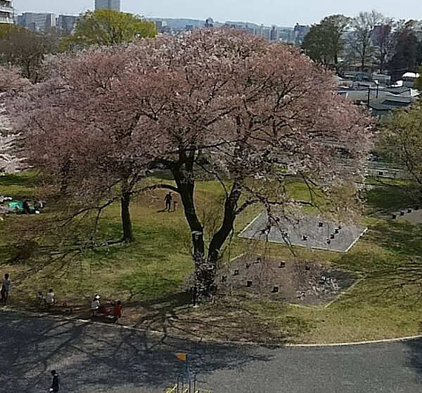 イグレック山王 101｜東京都八王子市中野山王2丁目(賃貸マンション1R・1階・18.06㎡)の写真 その17