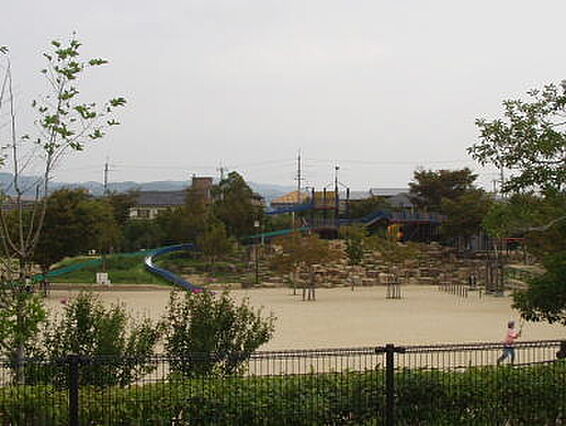 【公園】野畑南...