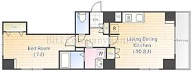 ラフィスタ錦糸町  ｜ 東京都墨田区緑4丁目（賃貸マンション1LDK・11階・42.69㎡） その2