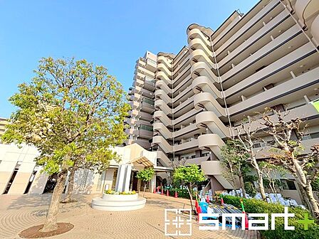 ~大規模修繕済のマンションが販売開始です~ ・「オーベル柏」のお部屋が販売開始です。 ※2025年3月大規模修繕済み。