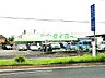 周辺：タイヨー成田店（550m）